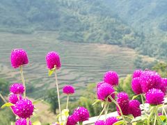 -婺源风景区