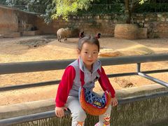 -昆明动物园