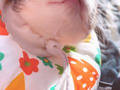 -美联众合24小时·皮肤科·外科·全科诊疗中心(华苑分院)