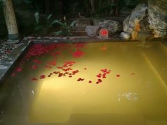 -和顺柏联温泉