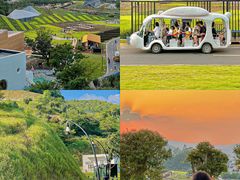 -广州市流溪河国家森林公园