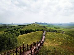 -御道口草原森林风景区