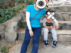 -阳台山自然风景区