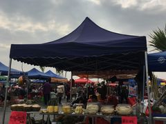 -万顷园艺世界