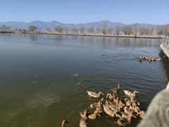 -野鸭湖国家湿地公园