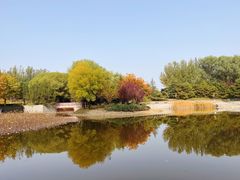 -大望京公园