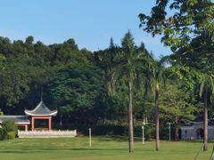 -紫马岭公园
