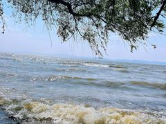 -捞渔河湿地公园