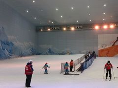 -哈尔滨热雪奇迹