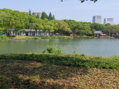 -新洲生态园