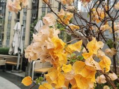 -blend咖啡部落(卓悦中心店)