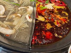 -朱光玉火锅馆(正弘城店)