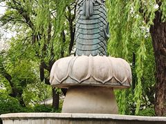 -趵突泉景区