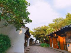 -西溪国家湿地公园