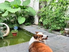 -漫笙舍Manse·咖啡·民宿