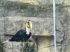 -黔灵山公园