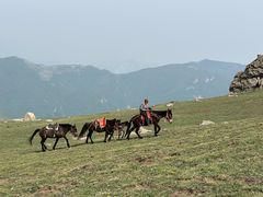 -灵山