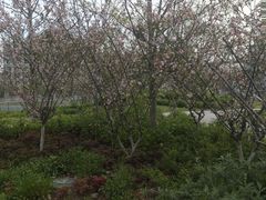 -宁波儿童公园(鄞州区)