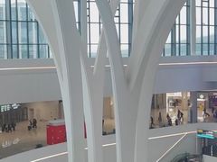 -杭州萧山国际机场