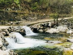 -黑河国家森林公园