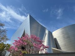 -华特·迪士尼音乐厅