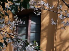 -龙华寺