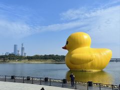 -深圳人才公园
