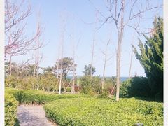 -海合安青岛极地海洋公园