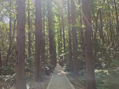 -同里国家湿地公园