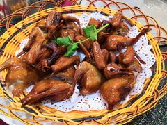 -新合益乡村农庄