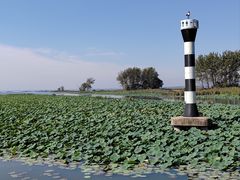 -微山湖红荷湿地景区