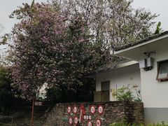 -三门江国家森林公园