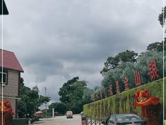 -广州市石门国家森林公园