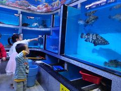 -迎喜海鲜酒楼(鹏森·海纳中心店)