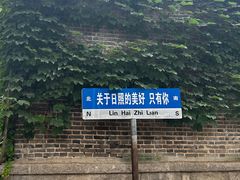 -日照海滨国家森林公园