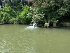 -水绘园