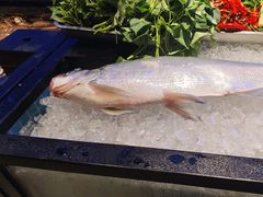 -忆江南·临江鱼馆