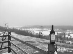 -汉长安城未央宫国家考古遗址公园