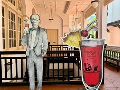 -Long Bar(莱佛士酒店)