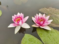 -嘉北郊野公园