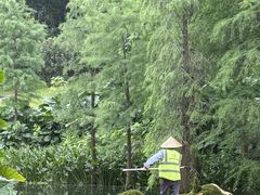 -云溪植物园