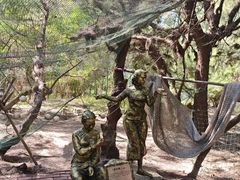 -北海金海湾红树林生态旅游区