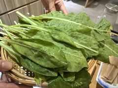 -菌子鲜汤野生菌锅