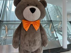 -济州岛泰迪熊博物馆