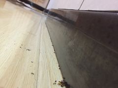 -7天优品(北京鼓楼后海店)