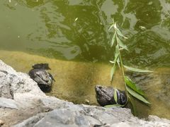 -团结湖公园