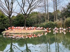 -上海野生动物园