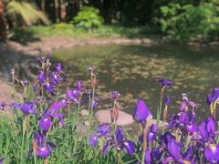 -苏州河梦清园环保主题公园