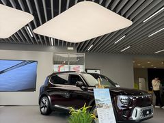 -上海浦东smart汽车全功能店(金桥店)