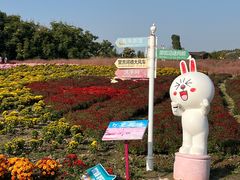 -安徽禾泉小镇